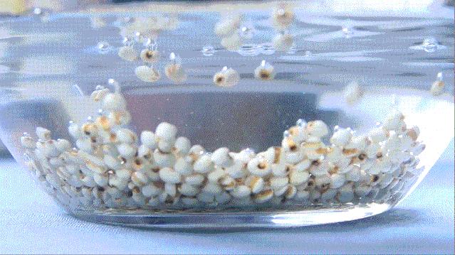 每天2袋，A4小蛮腰、精致小V脸、性感大长腿，你都能拥有