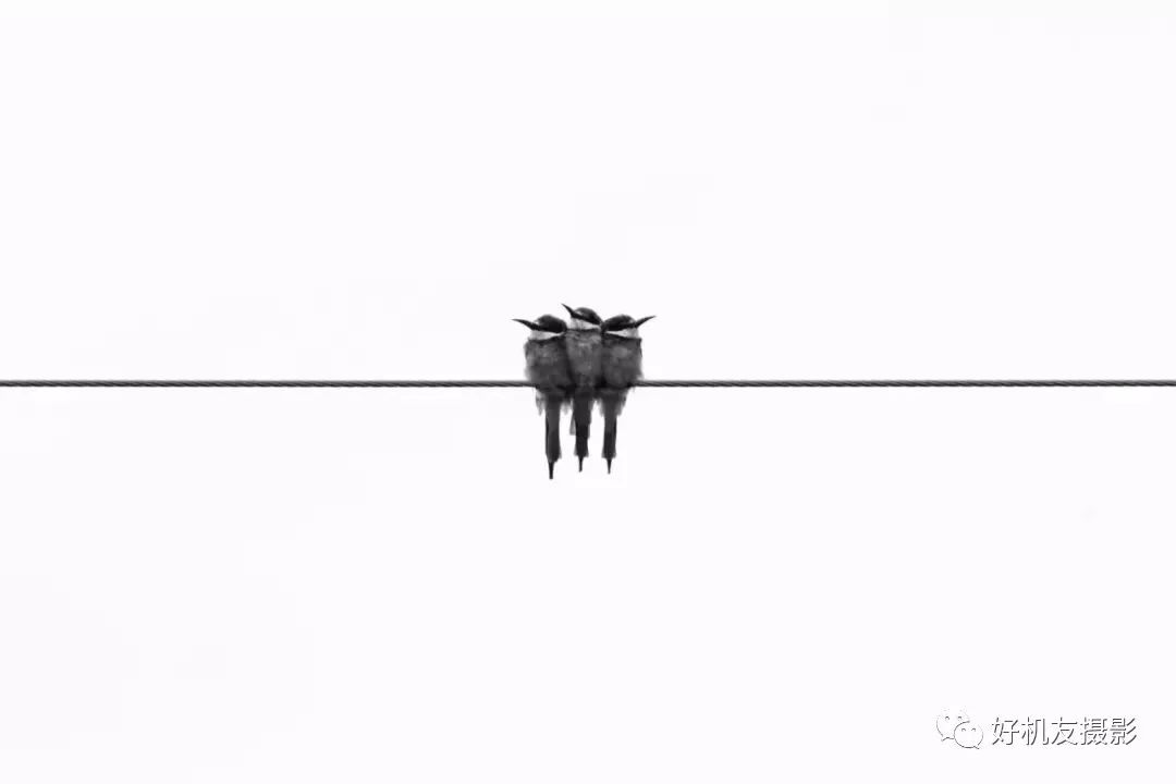 绘画是加法摄影是减法,为什么摄影是一门减法艺术