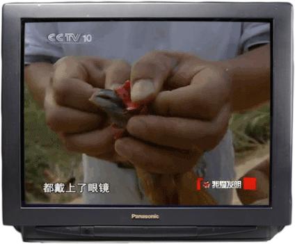 《我爱发明》是我人生的浪漫导师