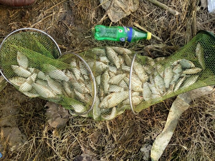 野钓装备大全,野钓装备有哪些