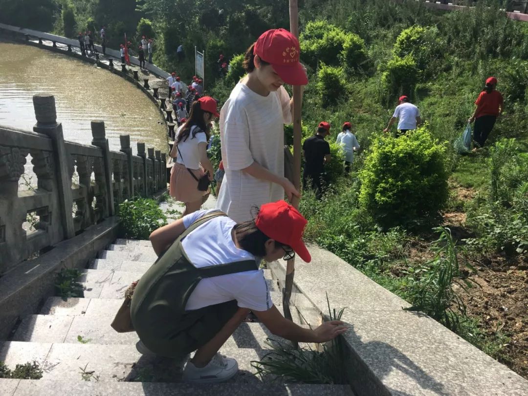 招聘挂职见习生,金山区大学生暑期挂职锻炼