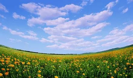 旅发大会沽源,张家口沽源旅发大会