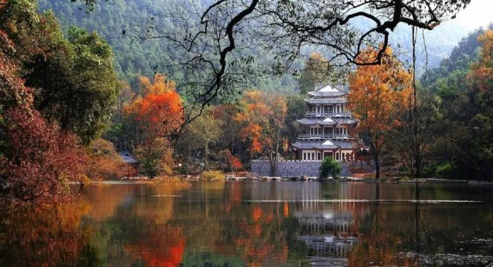 专访|唱响“漓江福地古韵灵川”品牌，灵川县这样做……