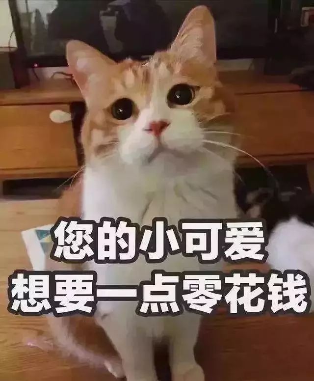 “免费认领宠物”加微信？宠物没到手，钱没了……