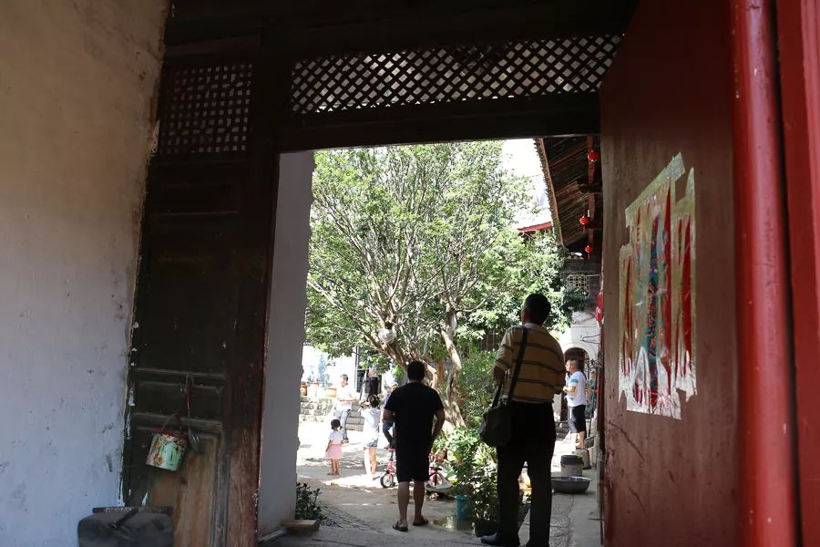 「人文宾川」古院沧桑，古树依然，这里的“花海”盛开在六月——李氏宗祠火把花