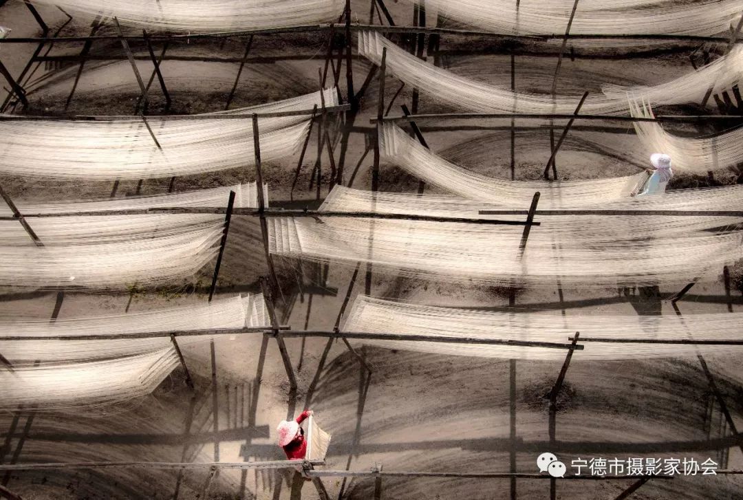 他们来自福安各行各业，可相机里却有令人惊叹的美！