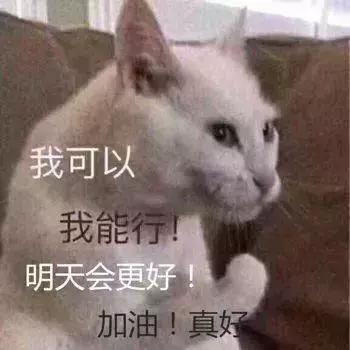 填志愿最新10种专业,高考填志愿所谓的好专业是什么
