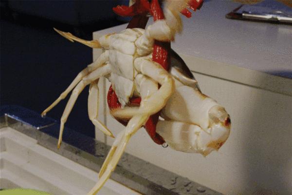 中国哪个国家的夜市最便宜,中国哪个省的夜市最火