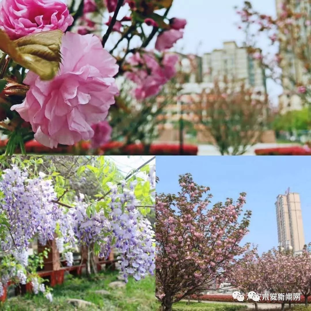 六安有几所示范高中,六安市省示范高中有哪些