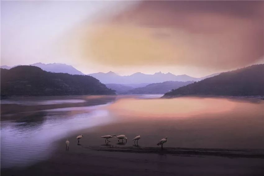 又挖到个21℃的清凉山城，还藏着人均¥300+就能入住的浙南“小星野”，仅限200套