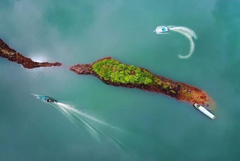 又挖到个21℃的清凉山城，还藏着人均¥300+就能入住的浙南“小星野”，仅限200套