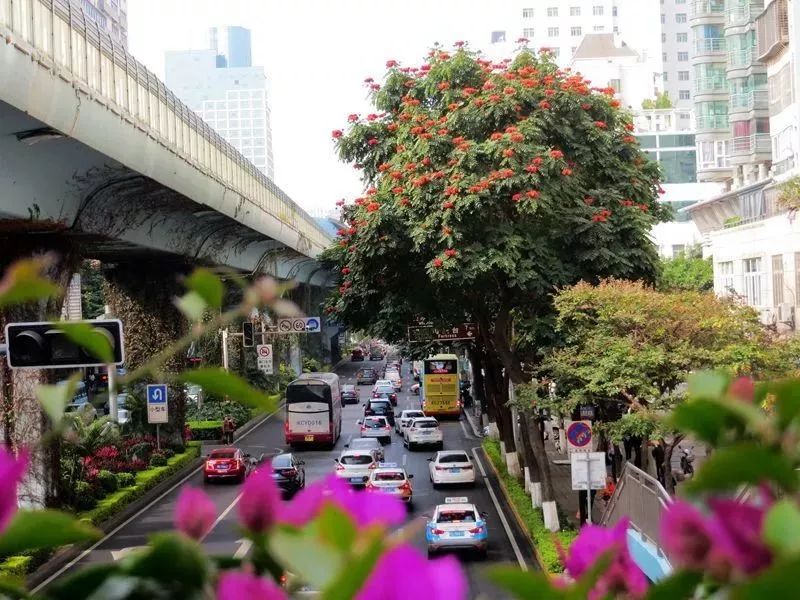 华丽升级,厦禾路哪一年改造