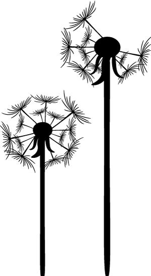 西瓜苗受肥害怎么解,西瓜重茬造成瓜农的损失谁负责