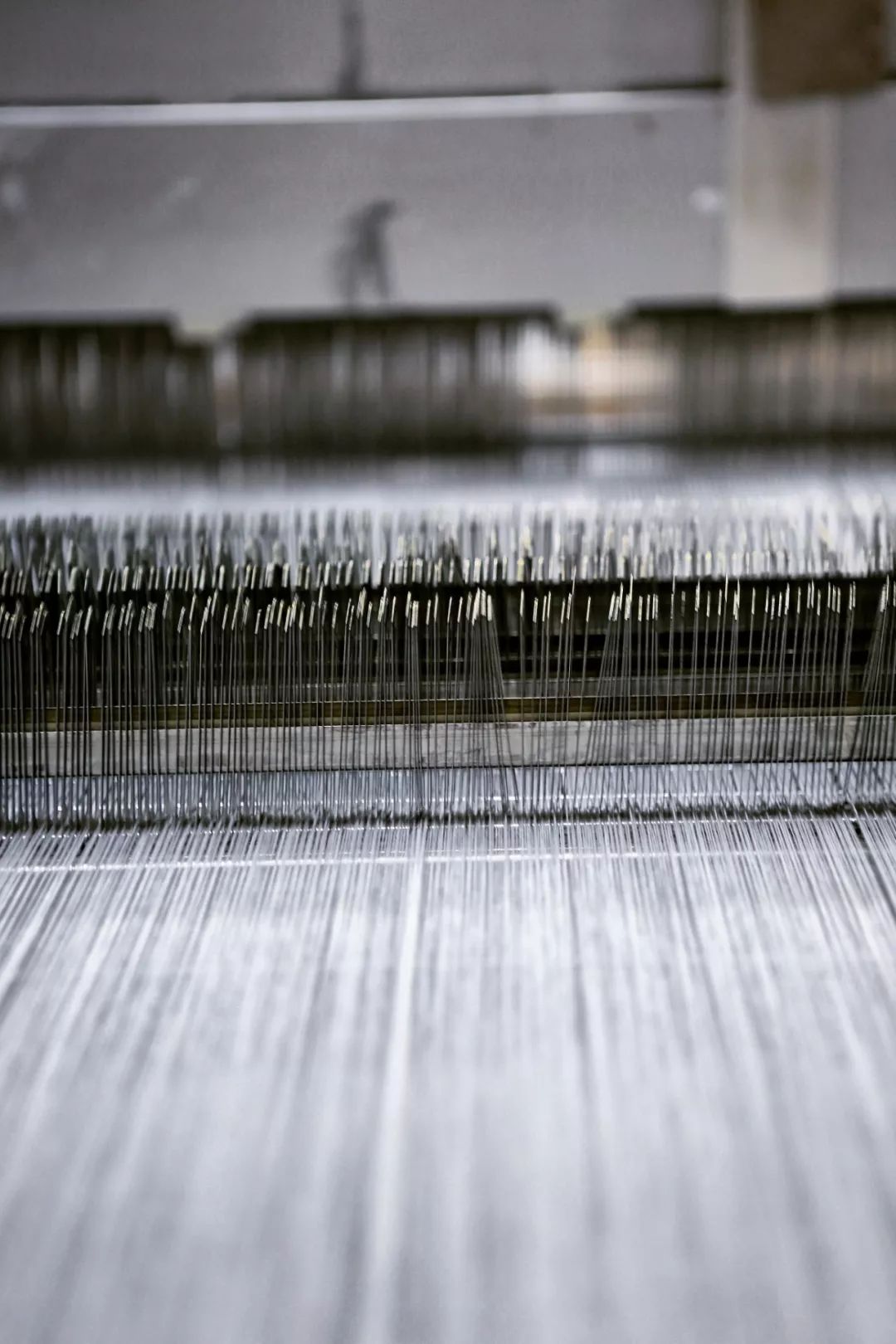 透支信用卡的女孩子,透支买奢侈品的女人