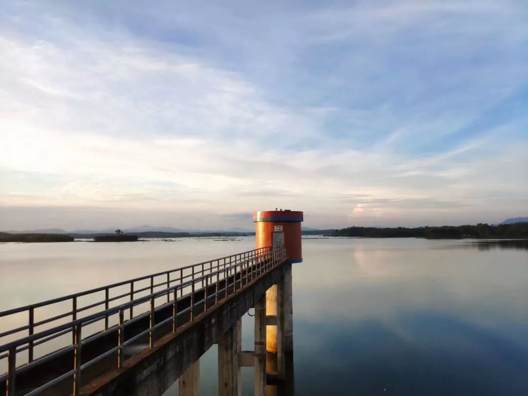 甜过初恋的红心猕猴桃,甜过初恋的三华李