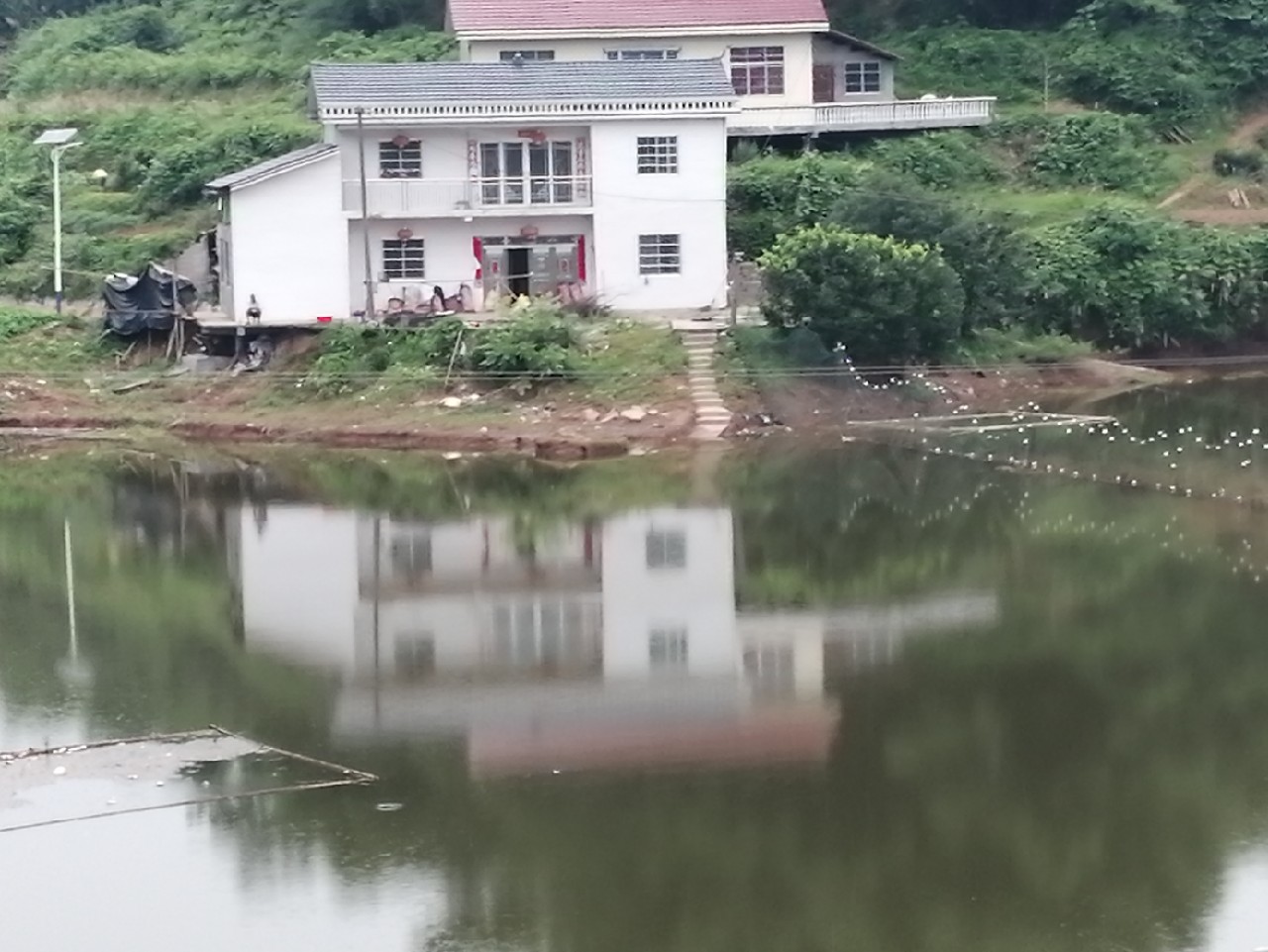 海竿篇：吟龙剑岀鞘擒鲢显风骚