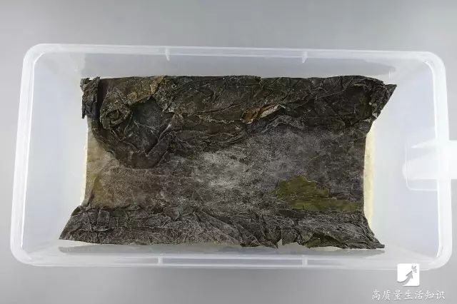 大米生虫子怎么快速驱虫妙招,大米生虫子怎么快速驱虫