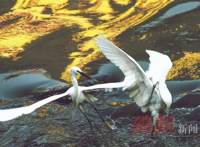 成都到底有多少个市区县,成都海昌极地海洋公园