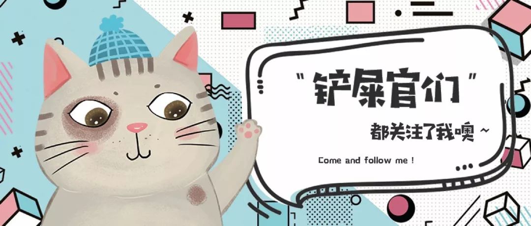 千万别养猫，来自万千网友的血泪控诉