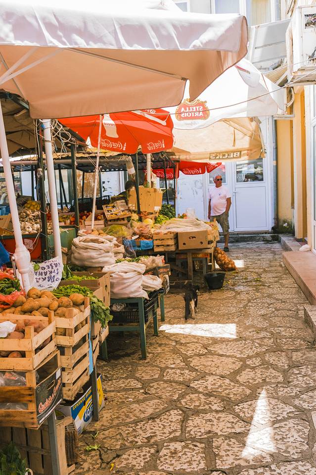 塞尔维亚诺维萨音乐节,塞尔维亚7月音乐节时间