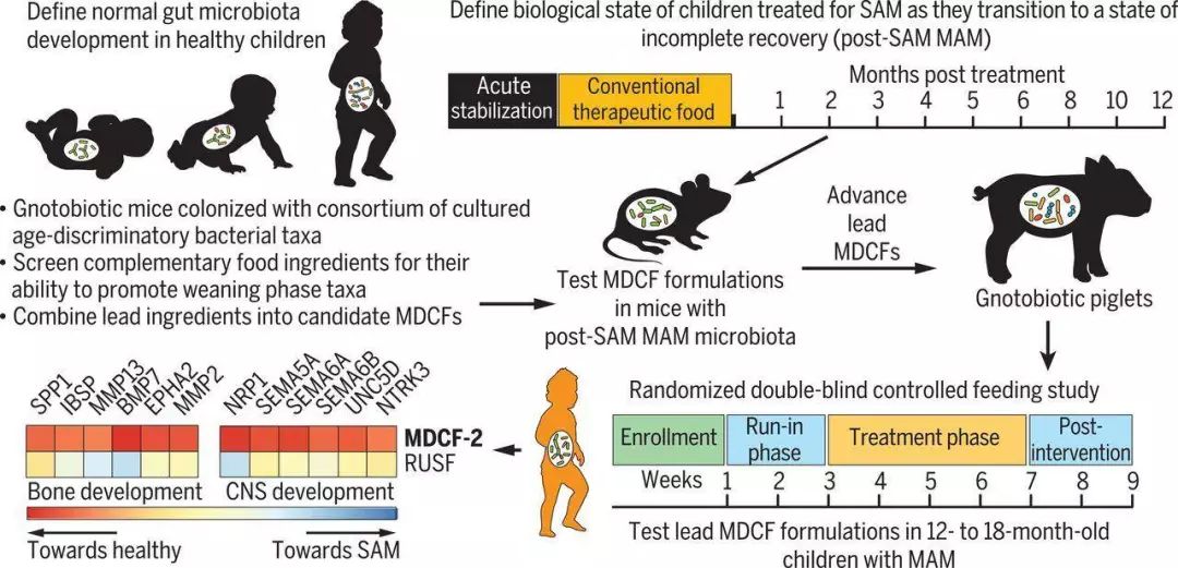 100mL含糖饮料=18%癌症风险；皮肤微生物可美容可治病；营养补剂*局骗**；“走亲戚”影响7种菌群；|知几文献速递Vol.20