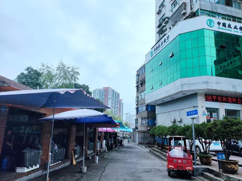 “*意民**直通车”权威回复出炉啦！竹溪人，有问题想反映你应这样做！