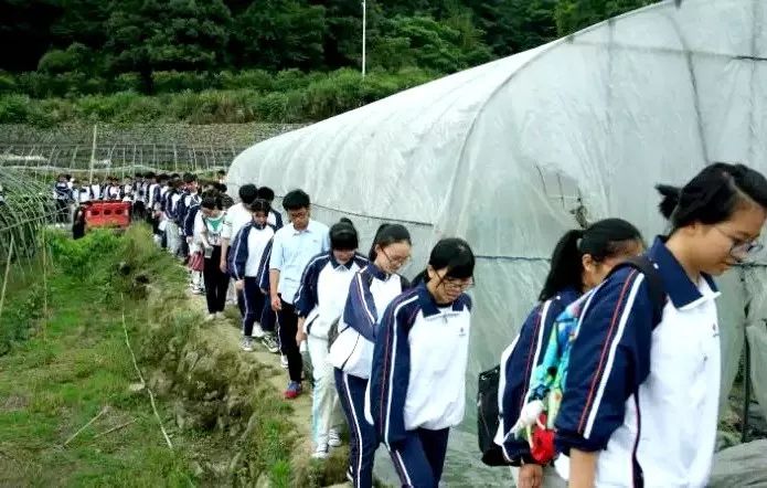 乐清母校,乐清这6所学校出名