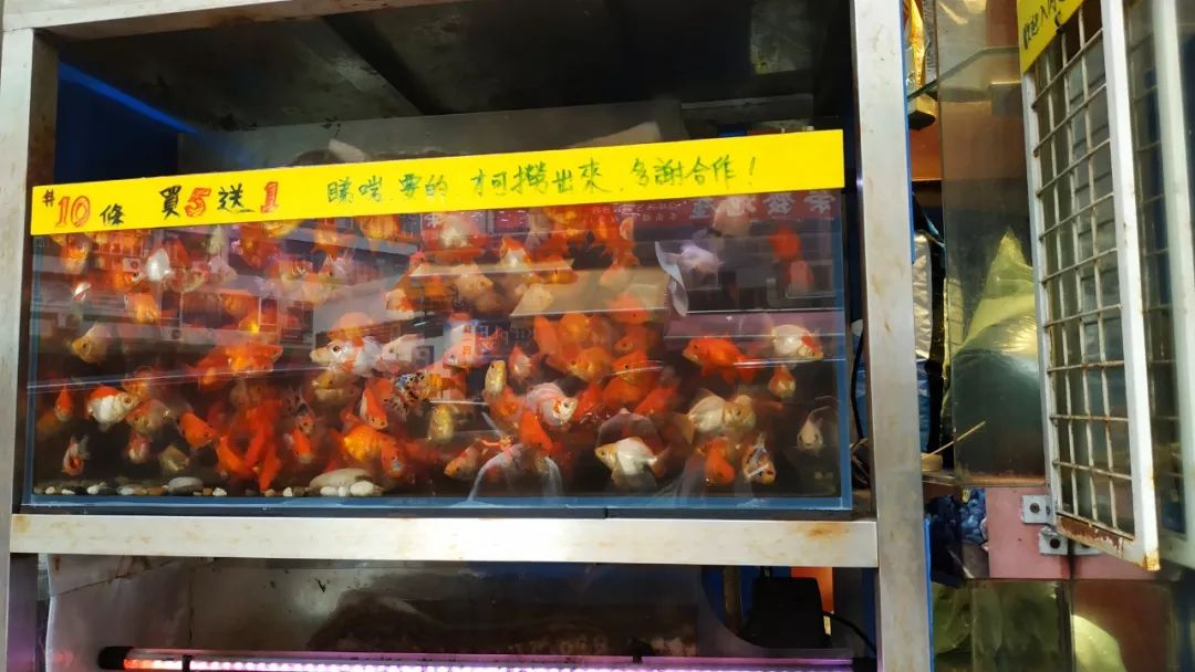 香港值得去的购物街,香港购物必去的街