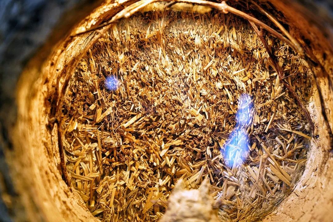 日本最后的秘境,日本最北端北海道