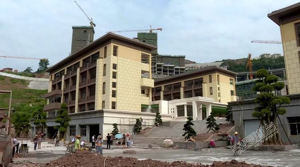 紫金小学师资,紫金小学报名条件