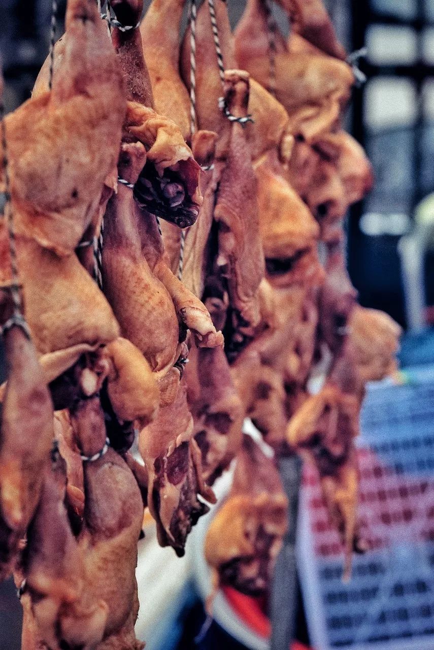 这些隐蔽观光地，浓缩了整座城的烟火气