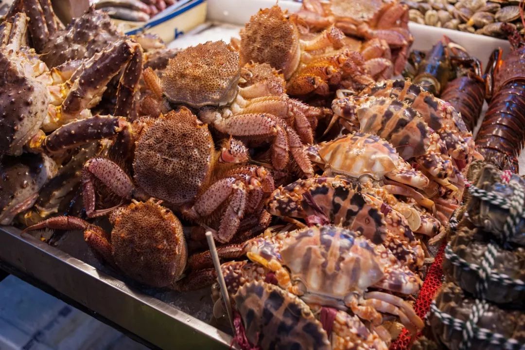 这些隐蔽观光地，浓缩了整座城的烟火气