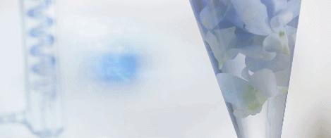 断然不做“黄脸婆”！有了它，再差的皮肤都有救！丨开团