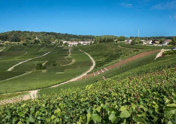 「旅游」“全民暑假”开启！想出去浪？看看法国人青睐的暑期旅行目的地吧