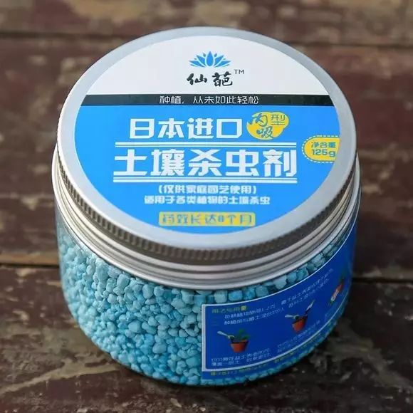 多肉怎么选泥土,多肉需要补充哪种肥料