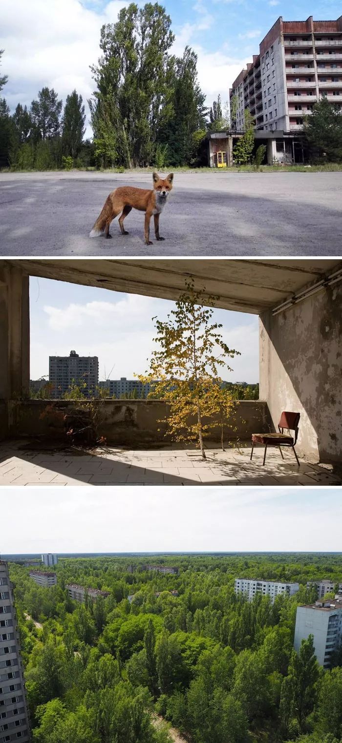 为什么人类无法战胜大自然,人类在大自然面前表现出的勇气