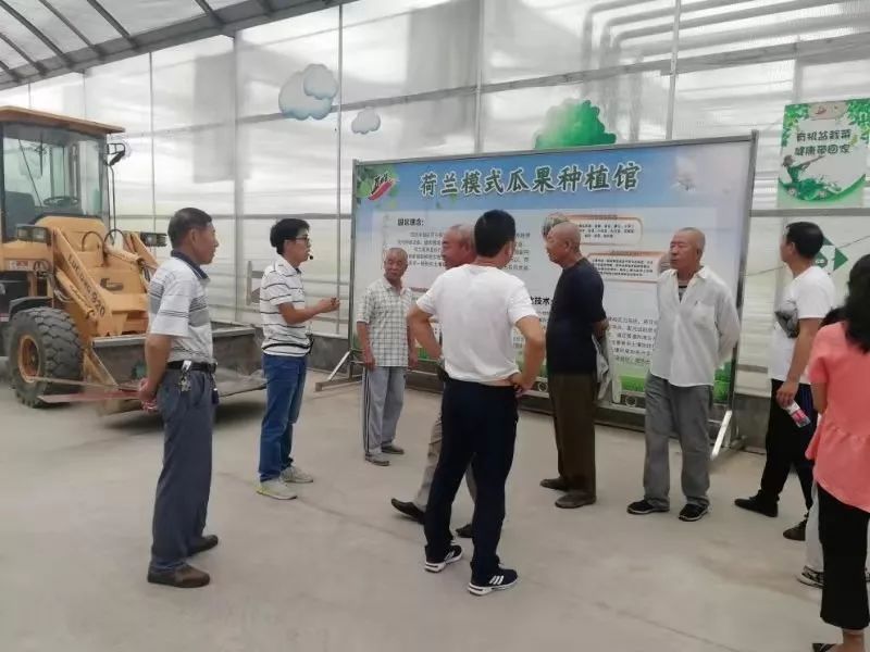 鄂尔多斯智能温室无土栽培,智能温室无土栽培作物有哪些