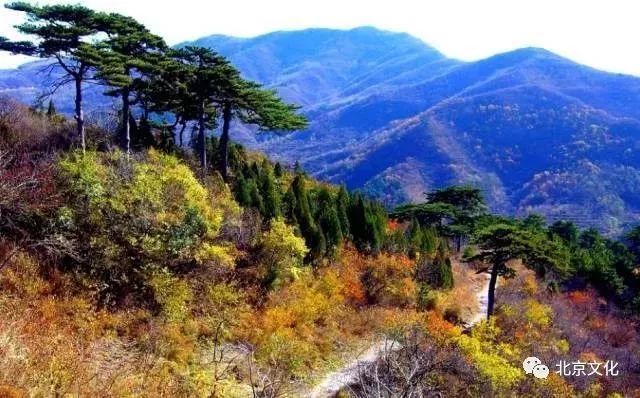 我叫北京，这是我最新的简历，请多关照