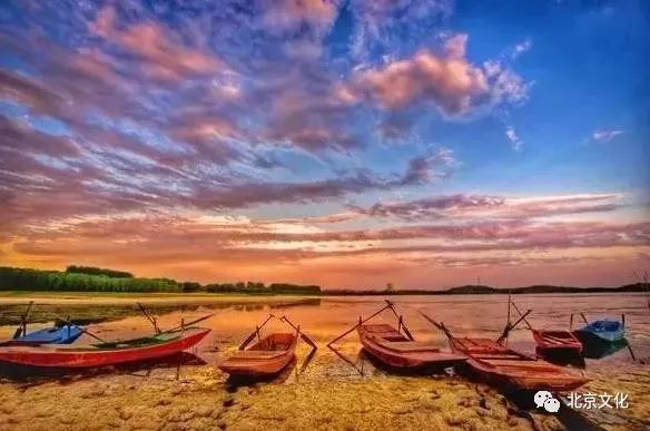 我叫北京，这是我最新的简历，请多关照