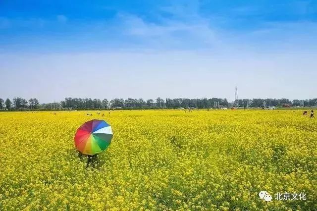 我叫北京，这是我最新的简历，请多关照