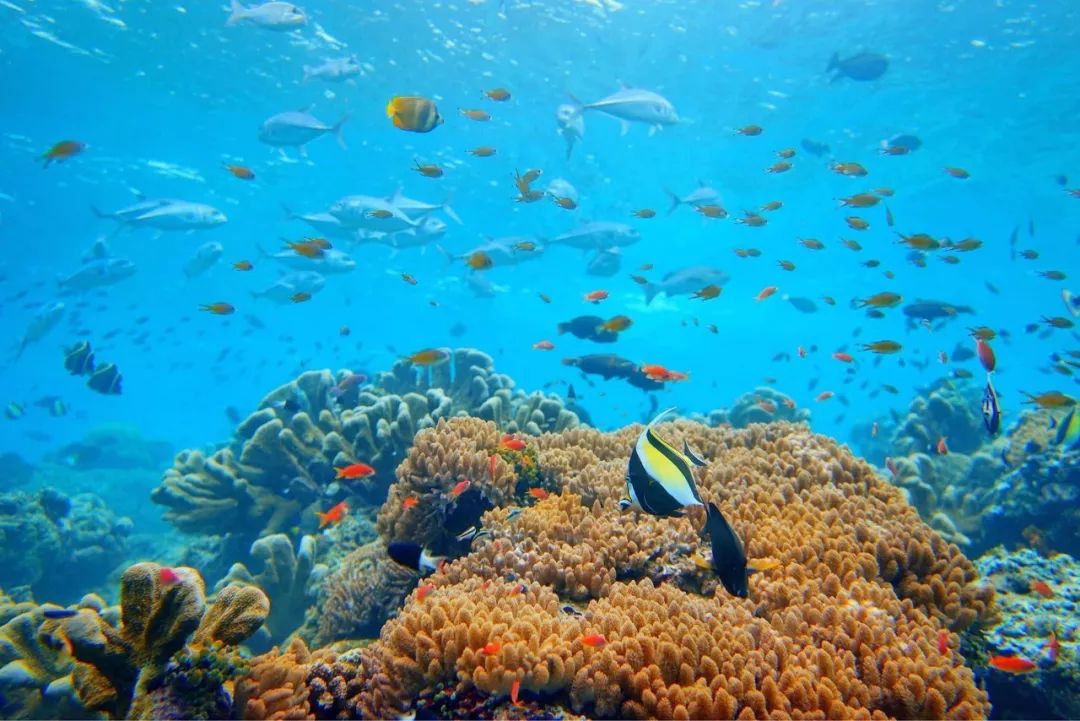 东南亚旅游十大必去地方,东南亚合适旅游的地方排名