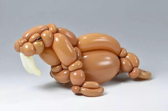 全球最神奇的动物园,日本神奇动物园