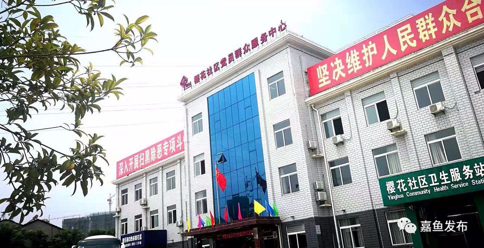 王远鹤咸宁,嘉鱼县委书记王远鹤