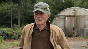 光头拯救世界,光头强逆转时光票房