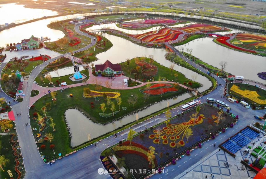 荷兰郁金香花海在哪个地方,盐城大丰荷兰郁金香花海