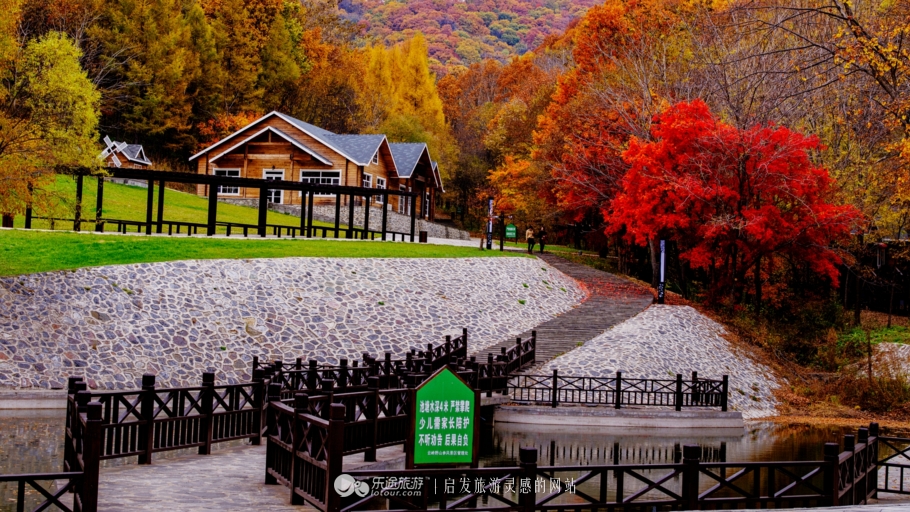 云岭深山自然美景,云岭野山参风景旅游区