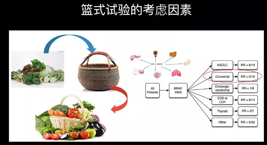 行家谈肿瘤新药,中国未来肿瘤药创新趋势