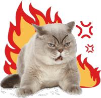 「丽江推荐」热线记者被“威胁”？一扇门竟引起这般“风波”