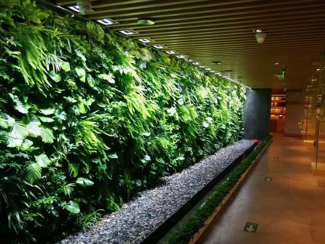 高校校园书店怎么开？听听央视报道怎么说