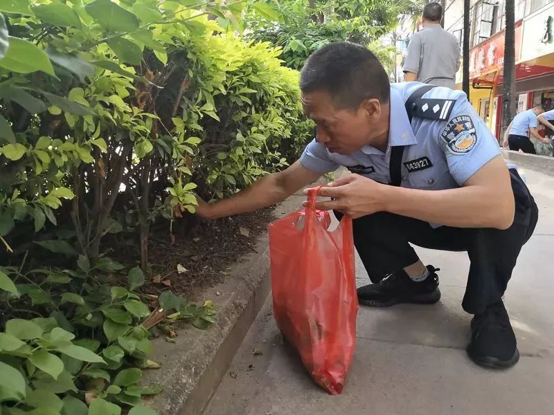 创卫宣传标识牌模板,创卫宣传展板内容